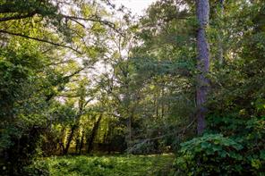 585 Mountain Road
