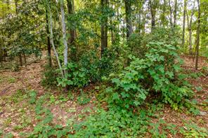 585 Mountain Road