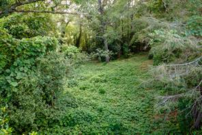 585 Mountain Road