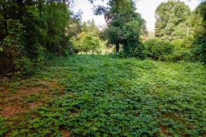 585 Mountain Road