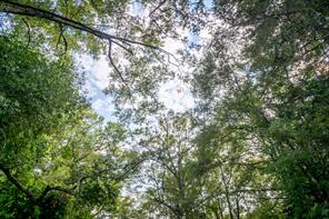 585 Mountain Road