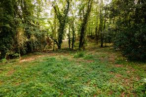 585 Mountain Road