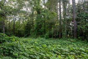 585 Mountain Road