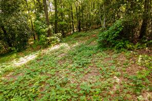 585 Mountain Road