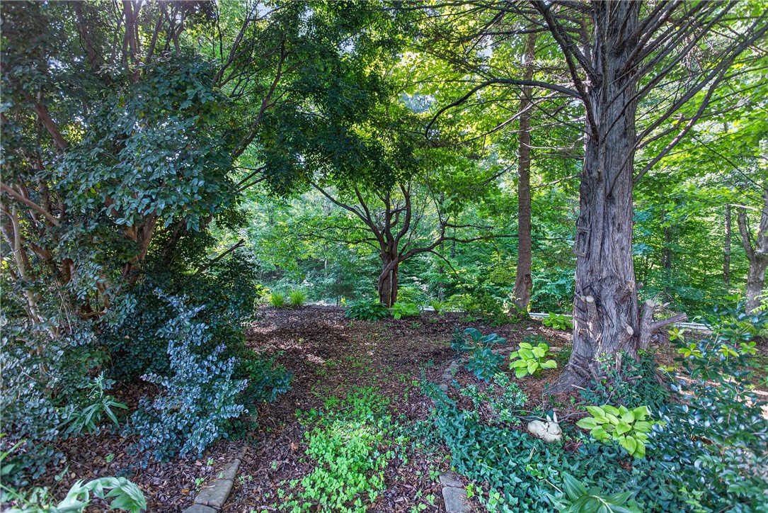 103 Dorsey Lane