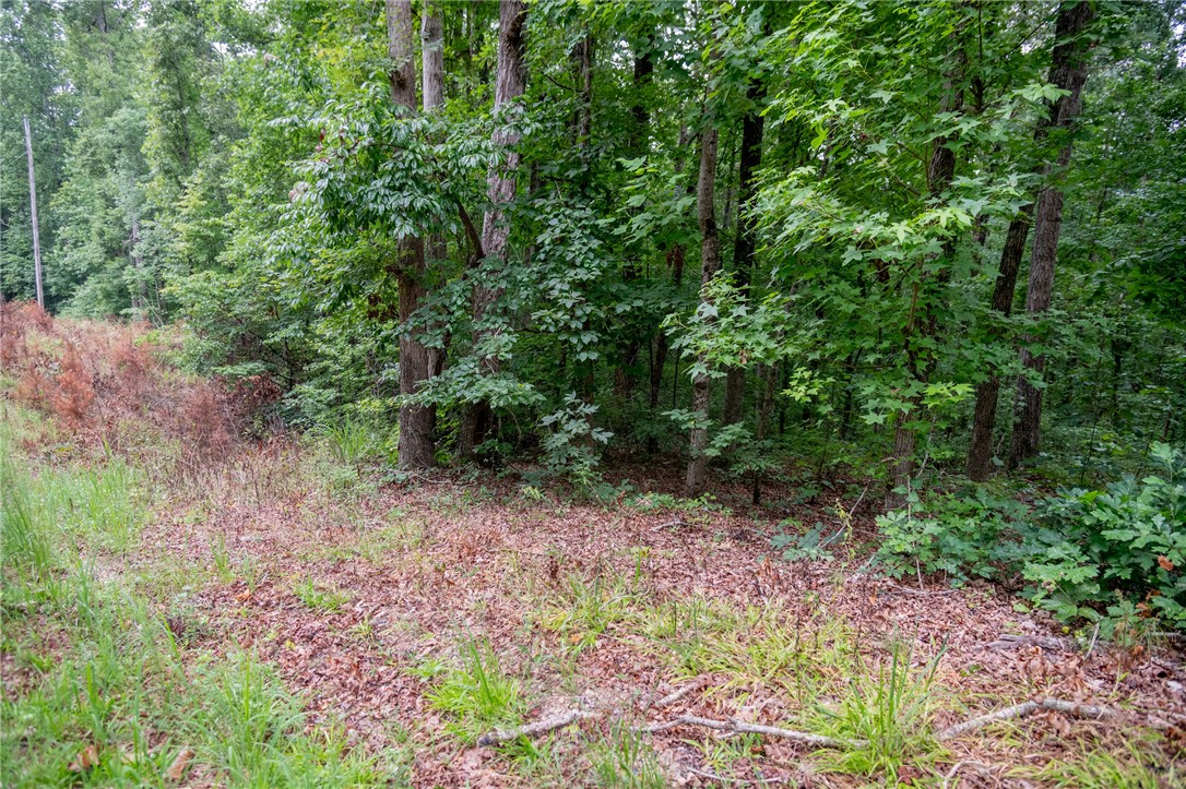 106 Pierpoint Drive