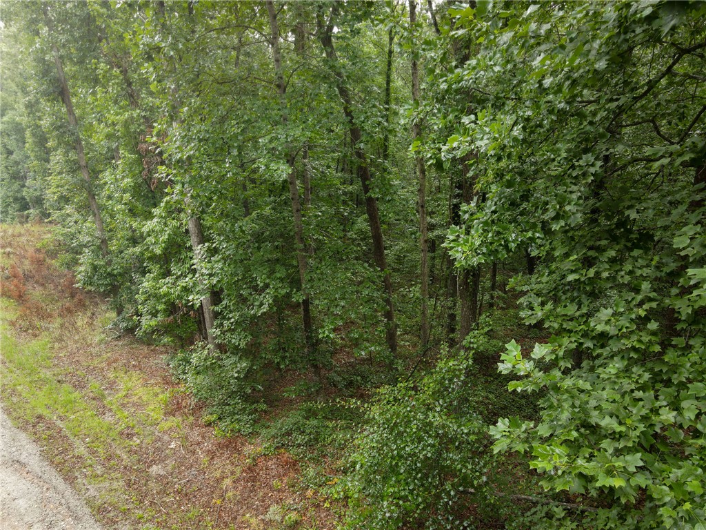 106 Pierpoint Drive