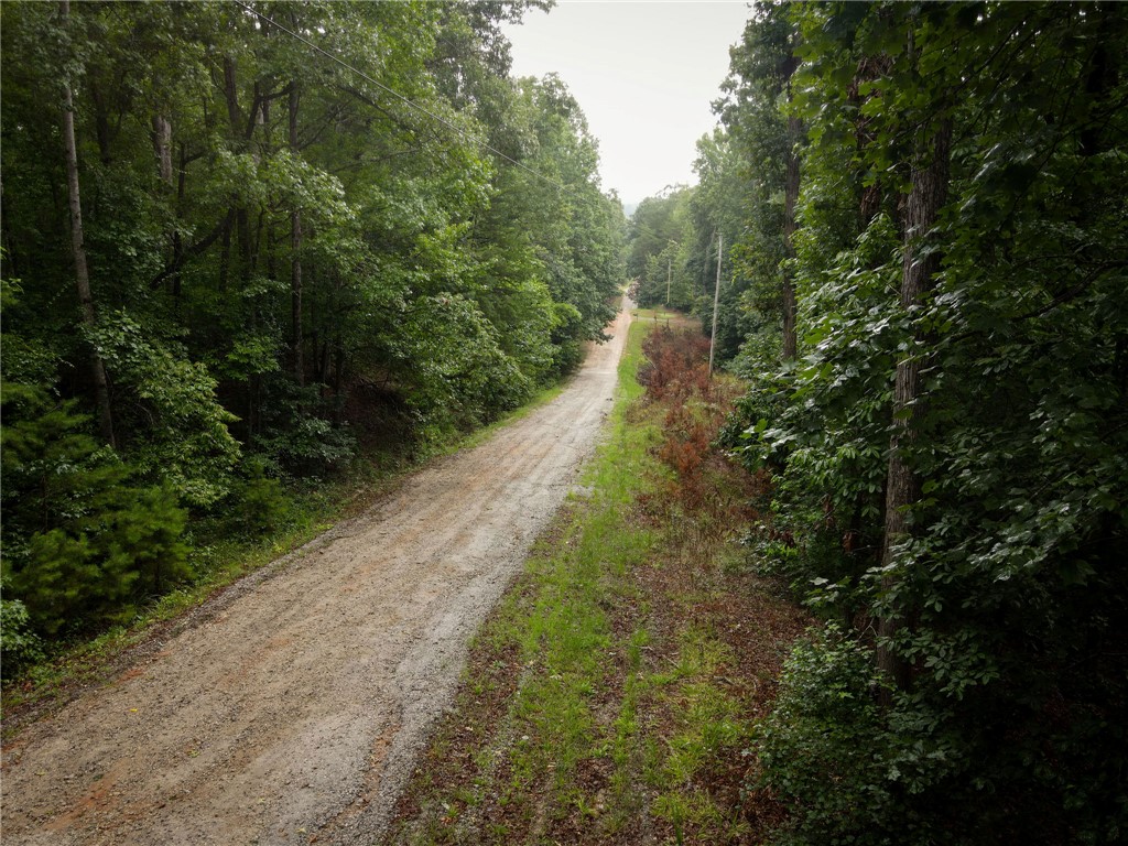 106 Pierpoint Drive