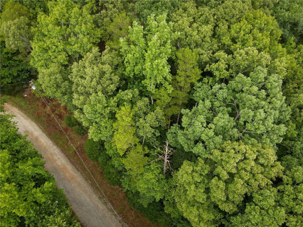 106 Pierpoint Drive