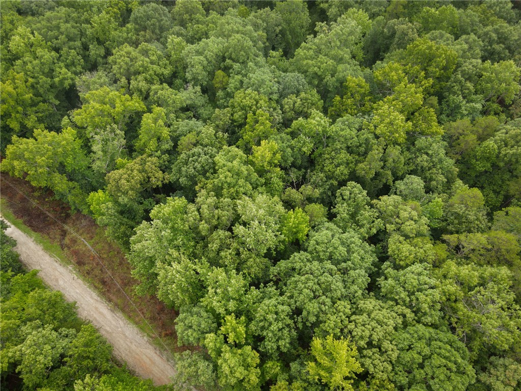 106 Pierpoint Drive