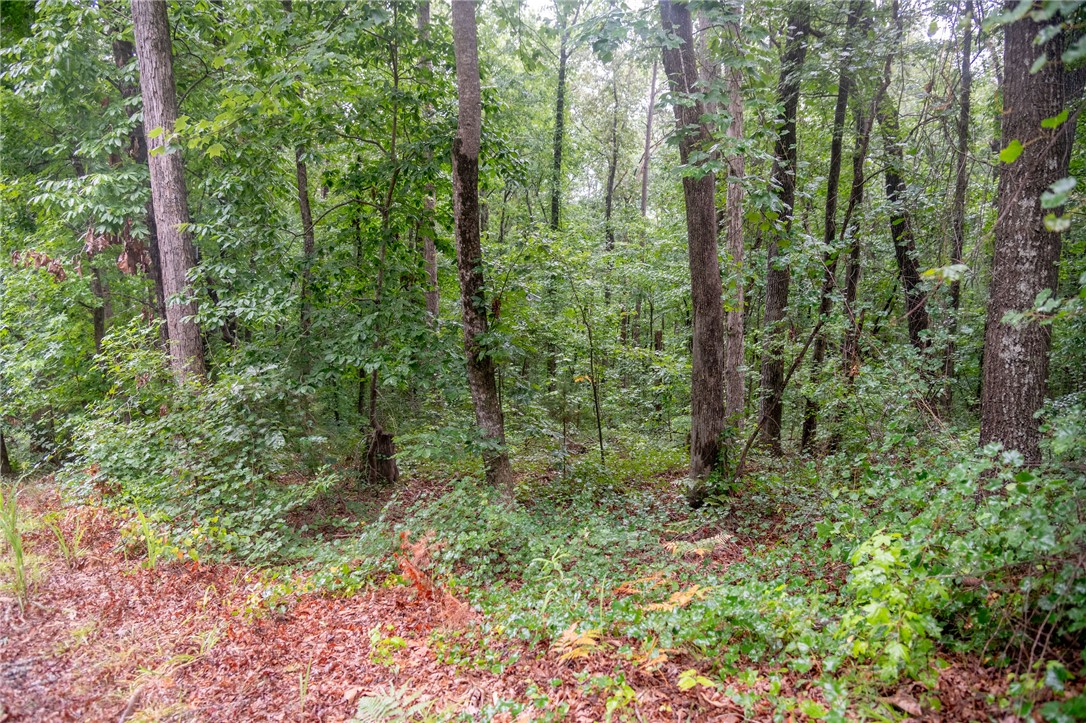 106 Pierpoint Drive