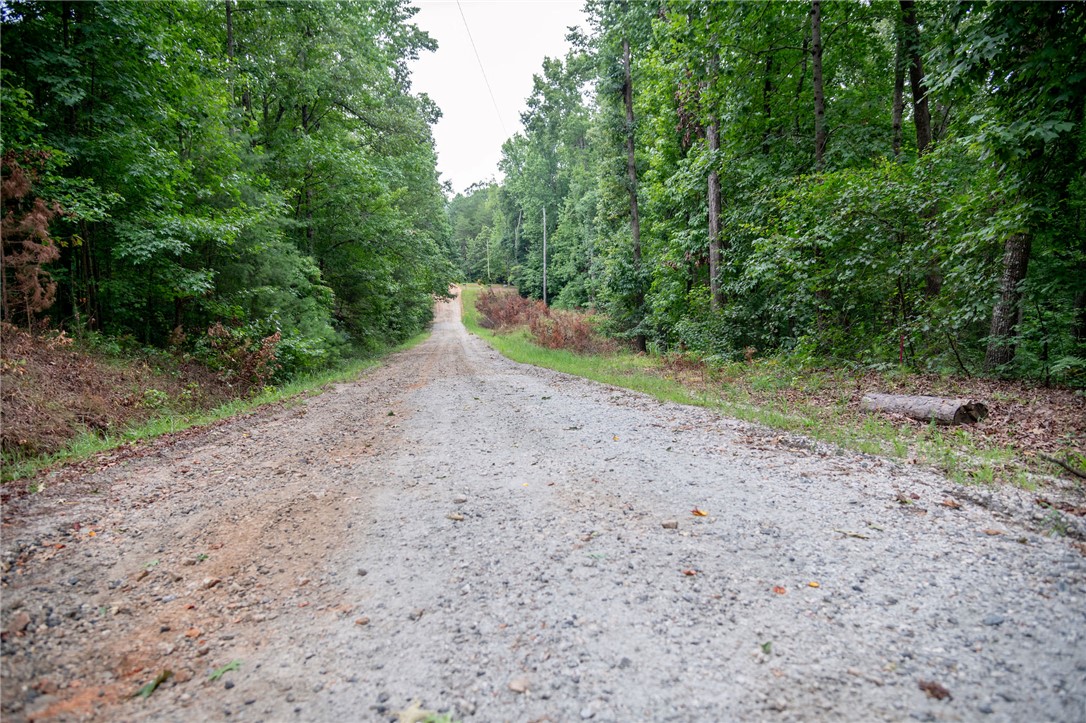 106 Pierpoint Drive