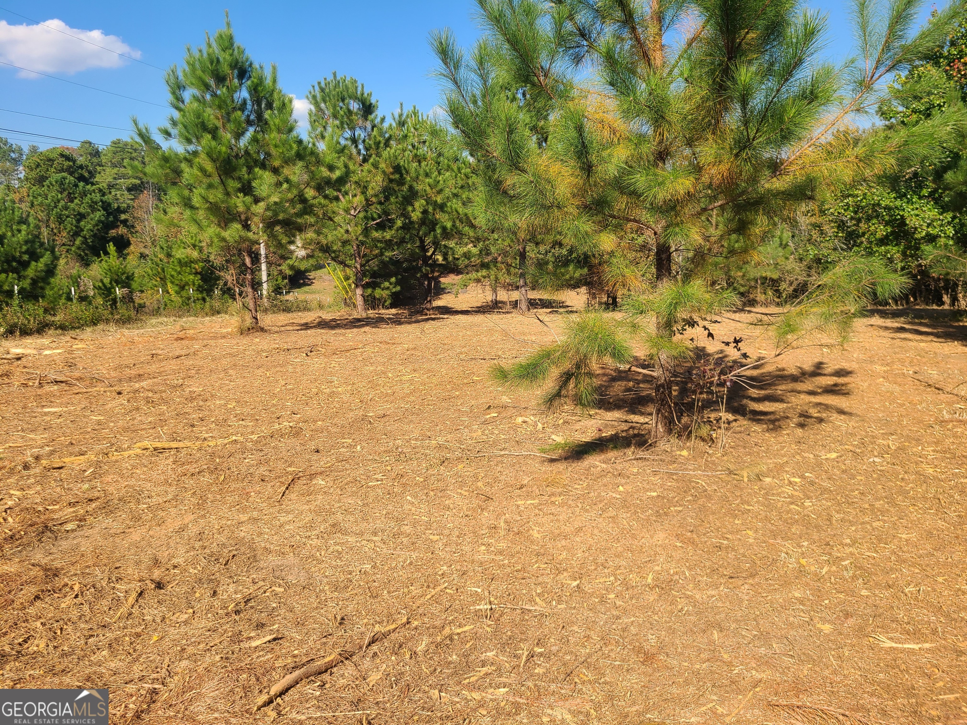 0 Dunson Shoals Road