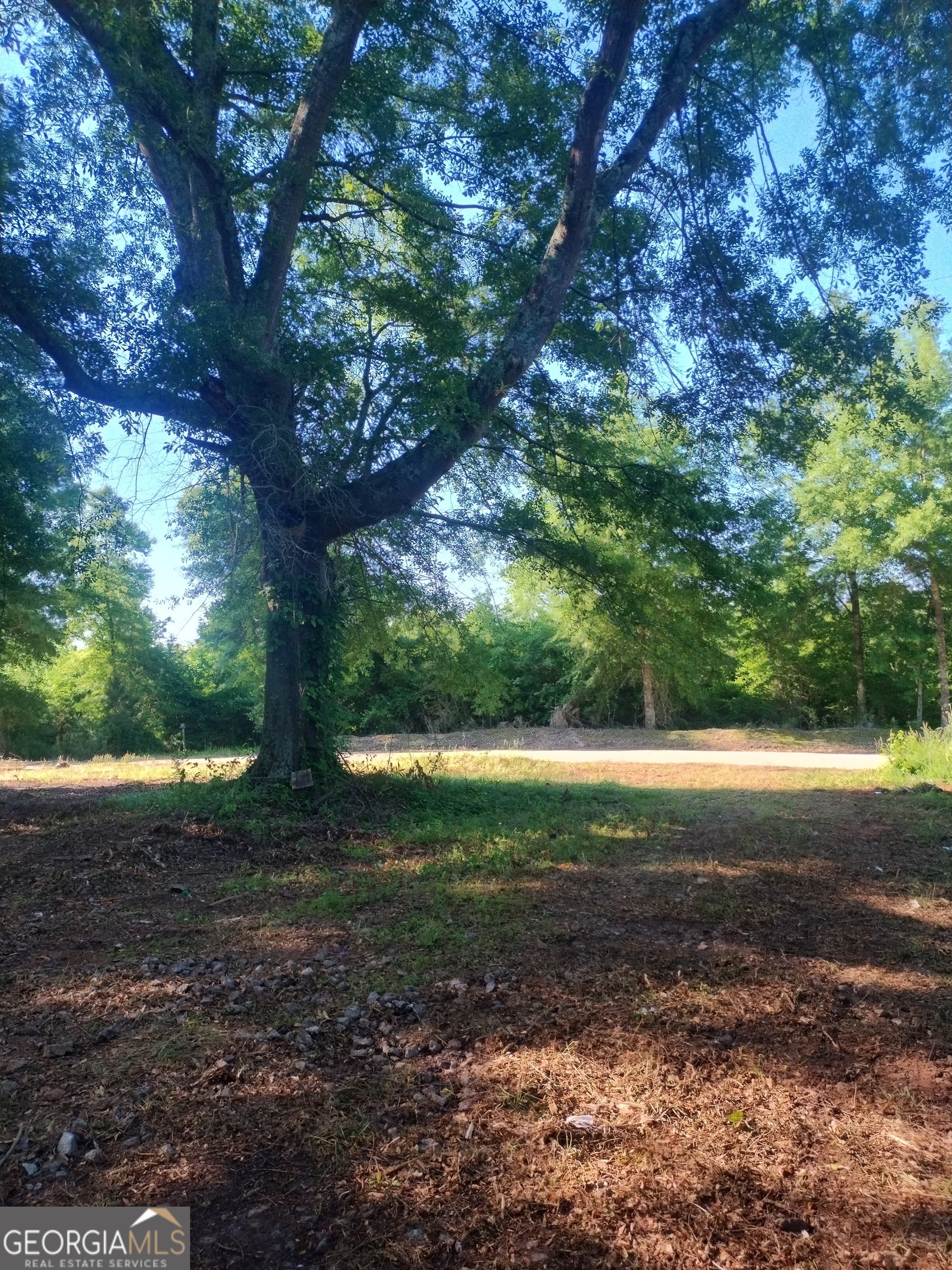 223 Shelnutt Road
