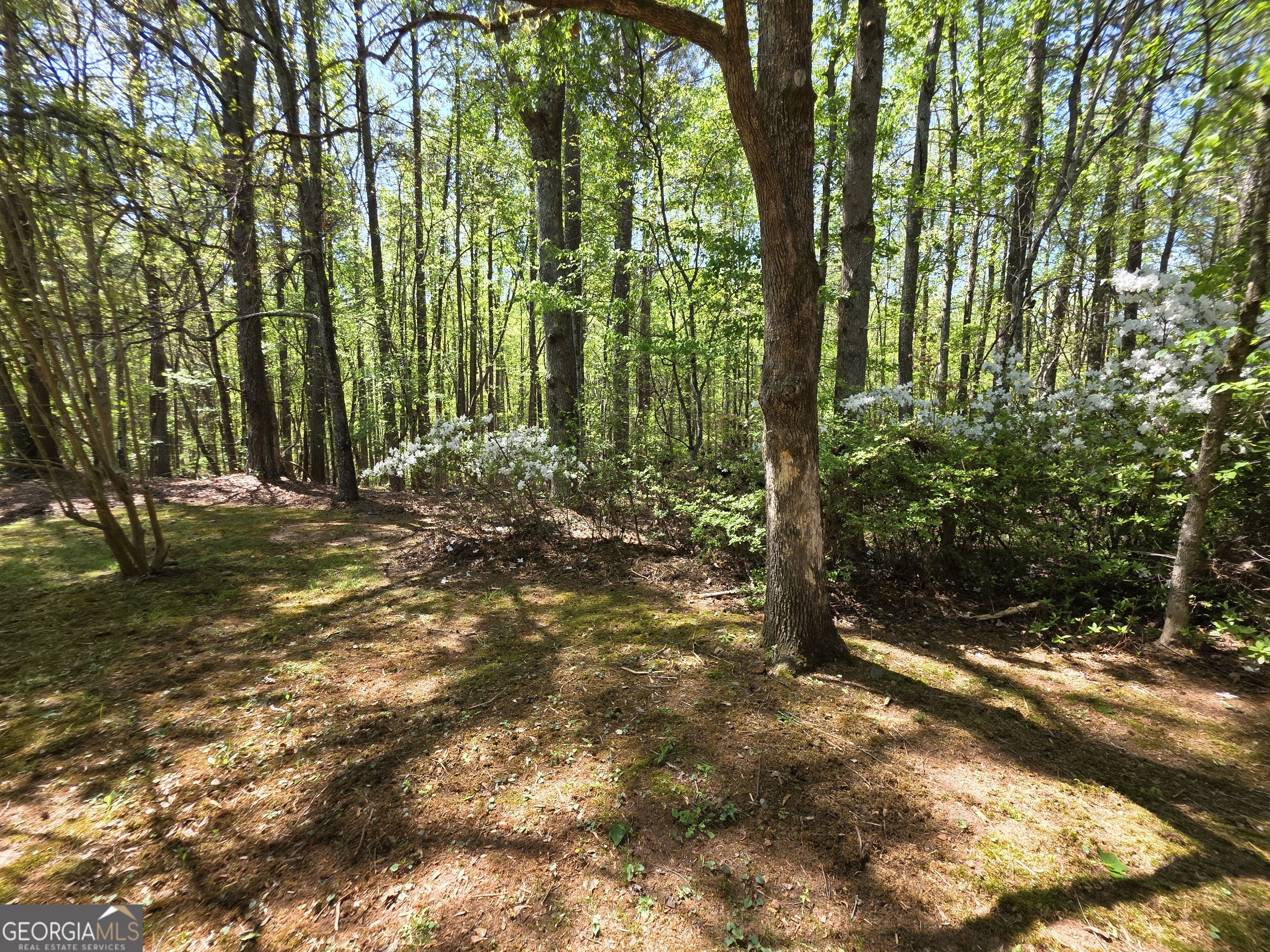 9120 Wilkerson Mill Road