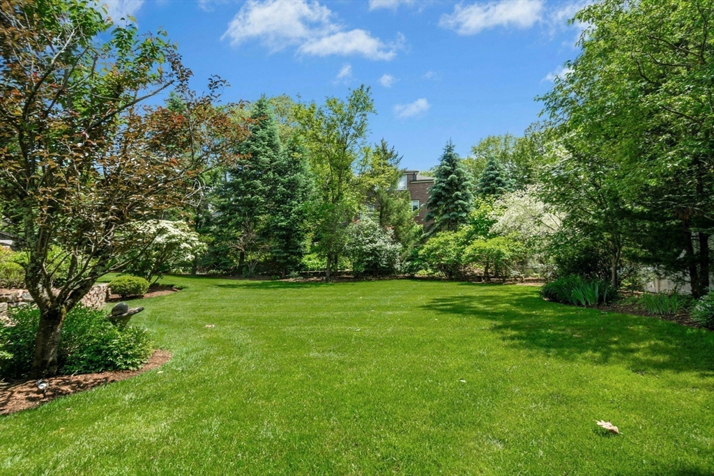 11 Scotch Pine Cir