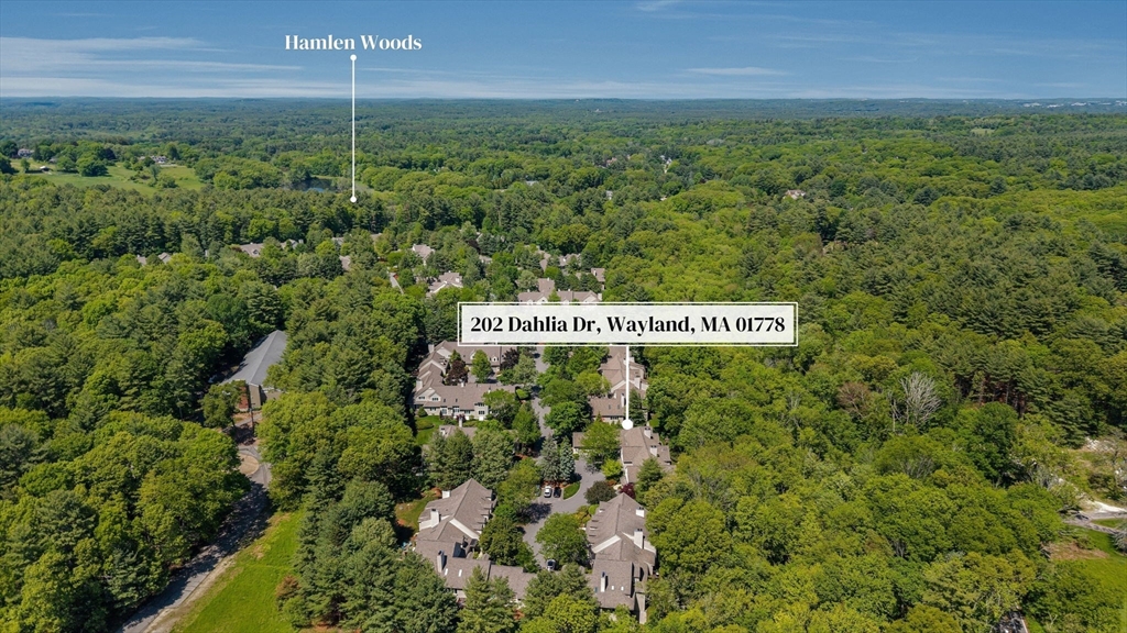 202 Dahlia Dr # 202