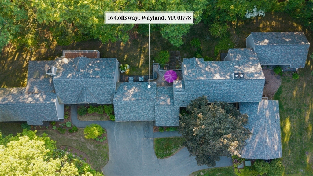 16 Coltsway # 16