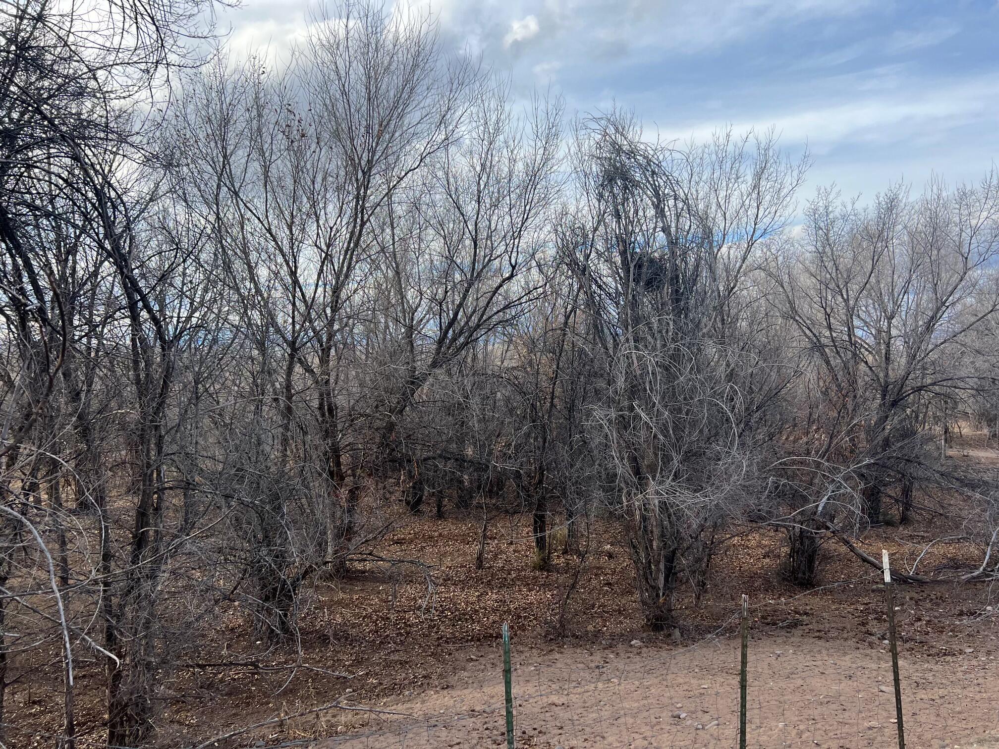 0000 Cochiti E Side Main Canal