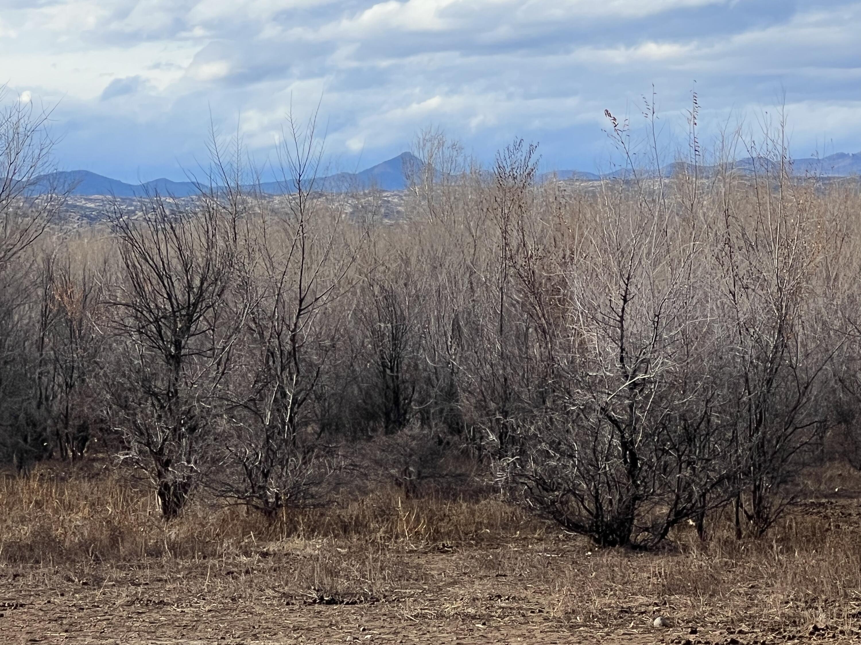 0000 Cochiti E Side Main Canal
