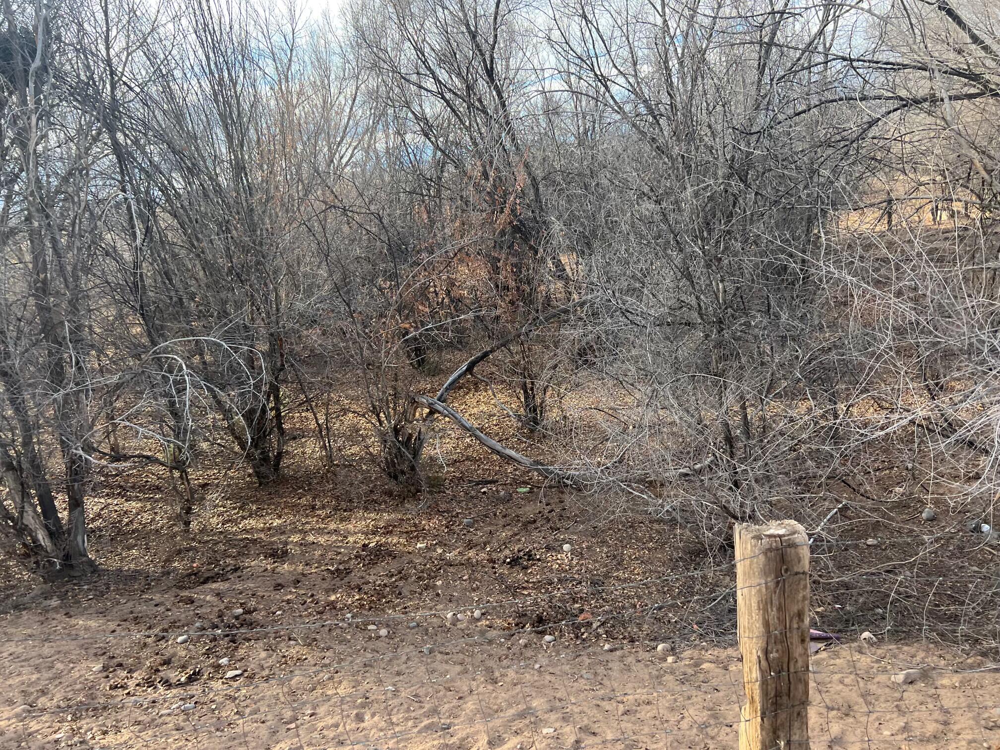 0000 Cochiti E Side Main Canal