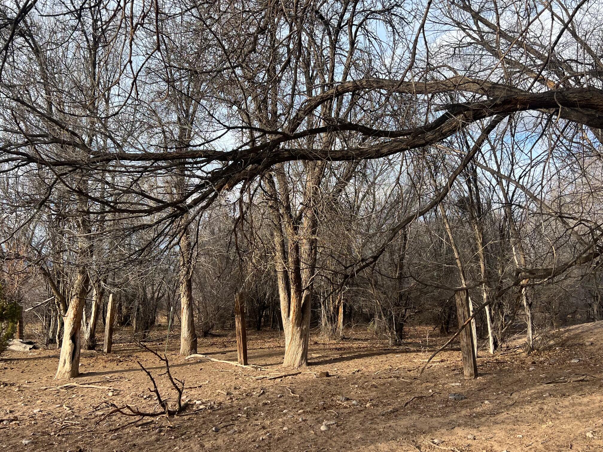 0000 Cochiti E Side Main Canal