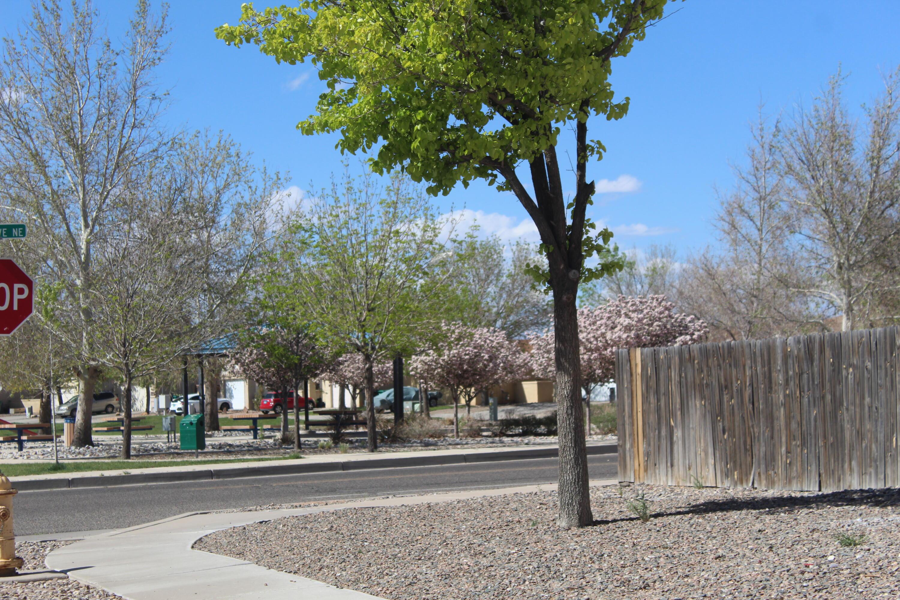 1816 Blueberry Drive