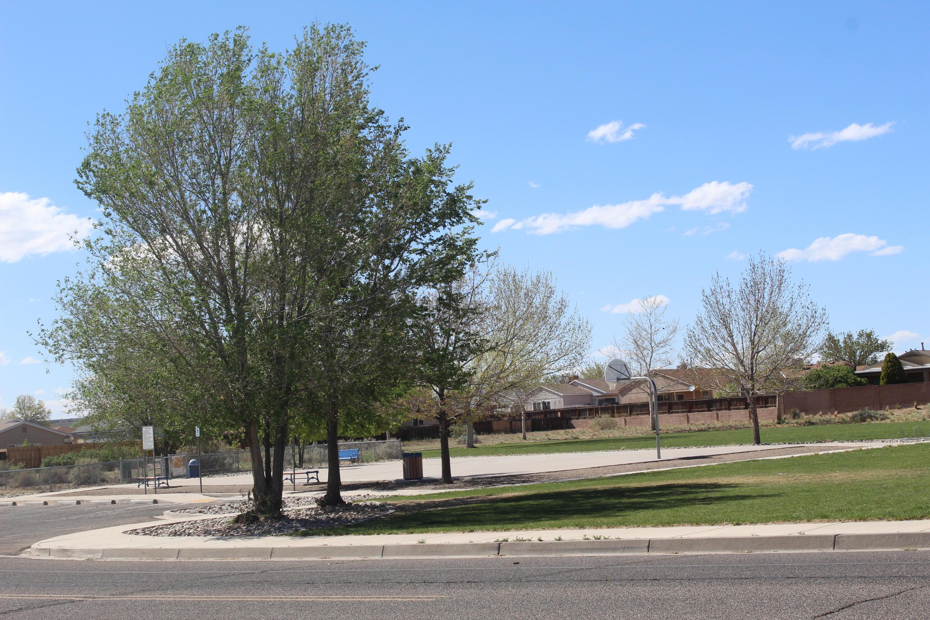 1816 Blueberry Drive