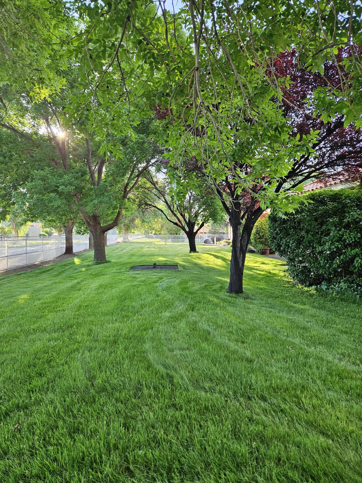 8320 Calle Petirrojo NW