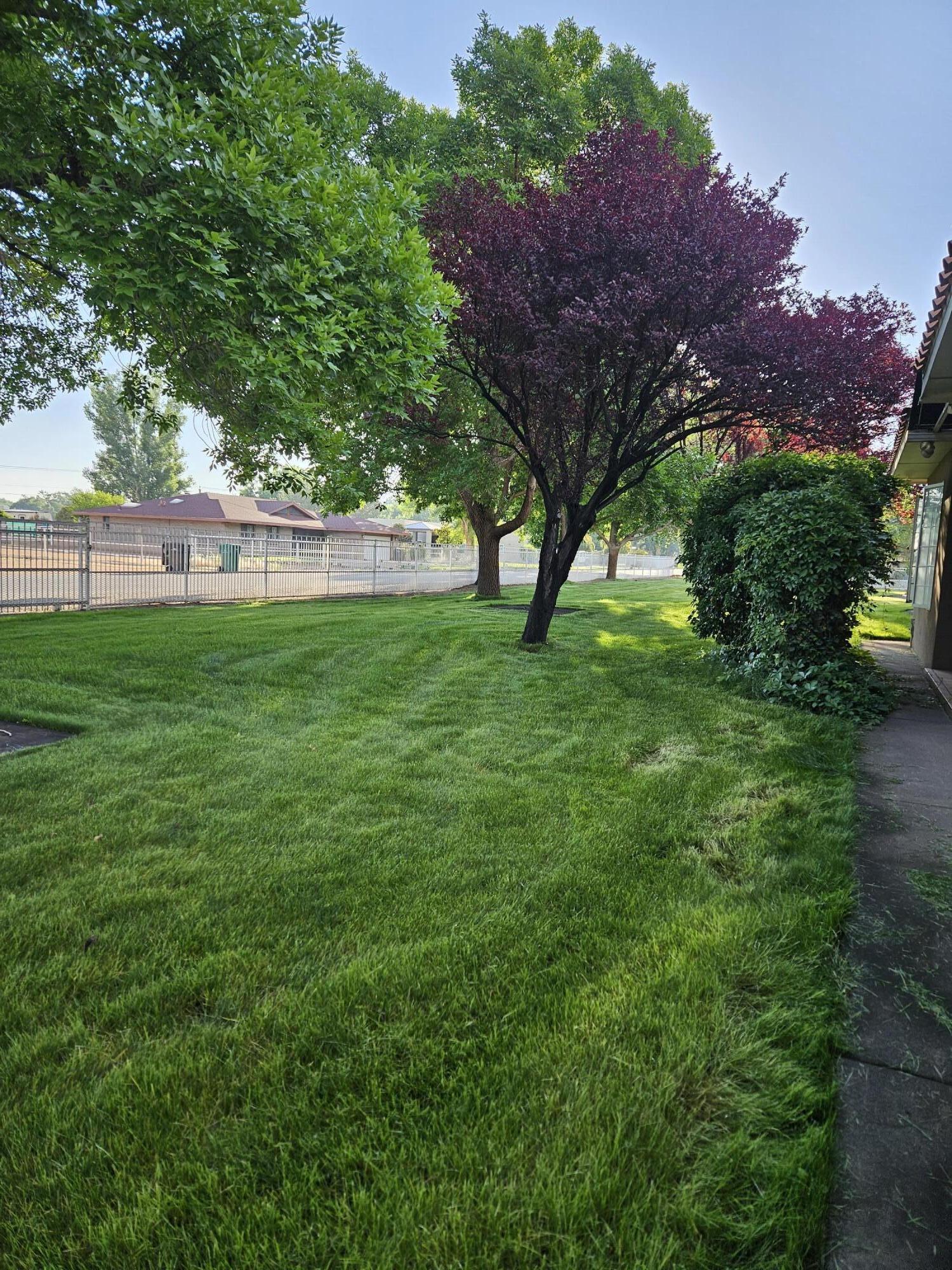 8320 Calle Petirrojo NW