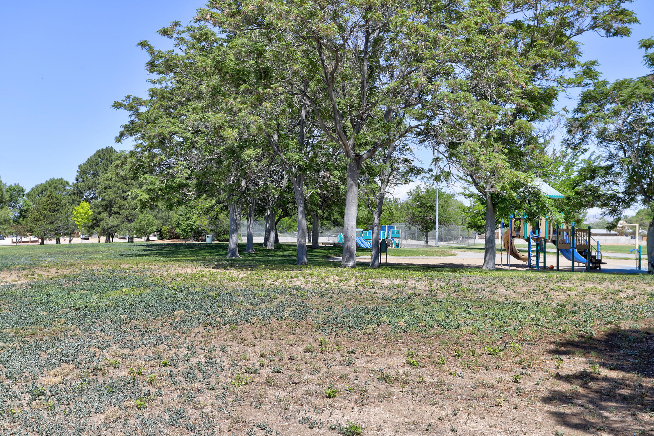 7409 Frieda Street NE