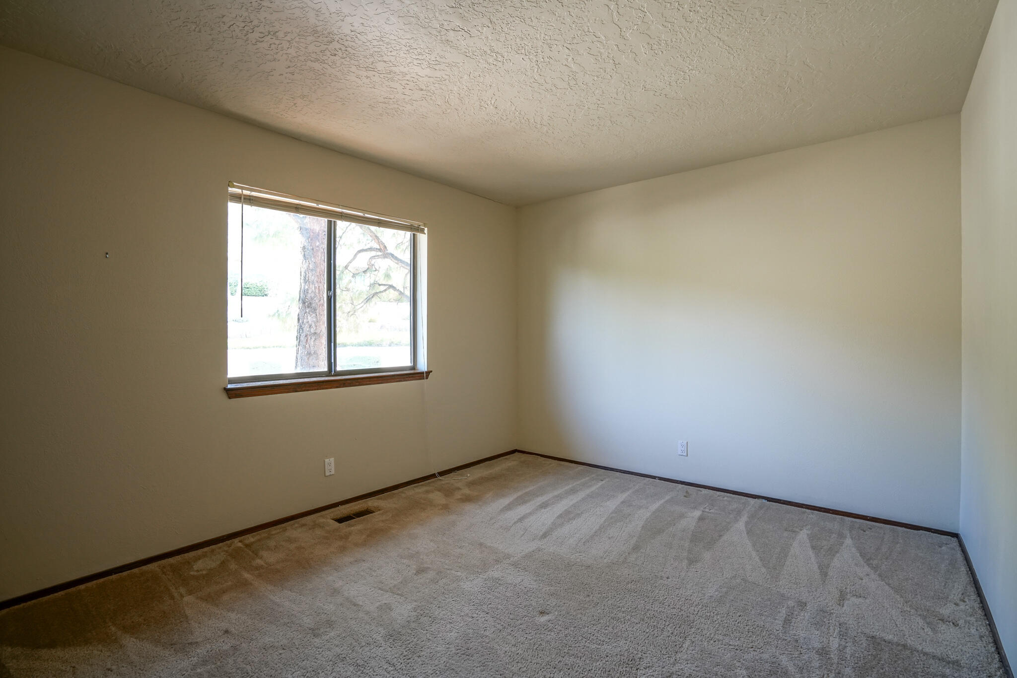 13337 Desert Flower Place NE