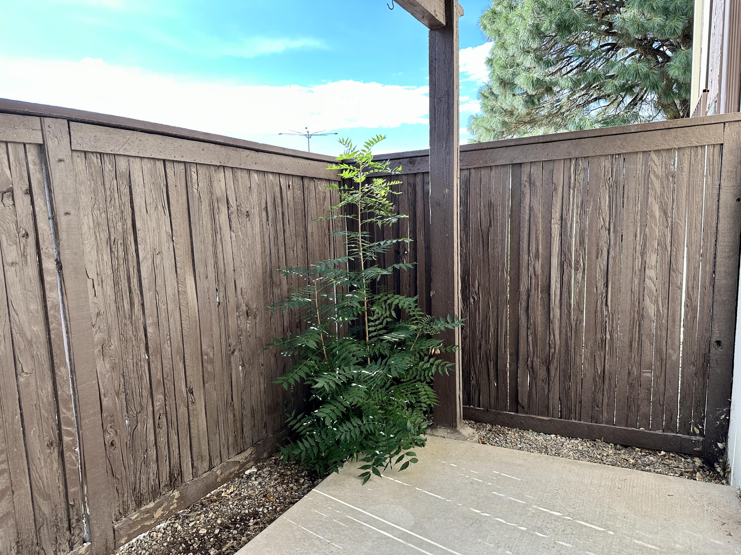 1601 Pennsylvania Street NE U25