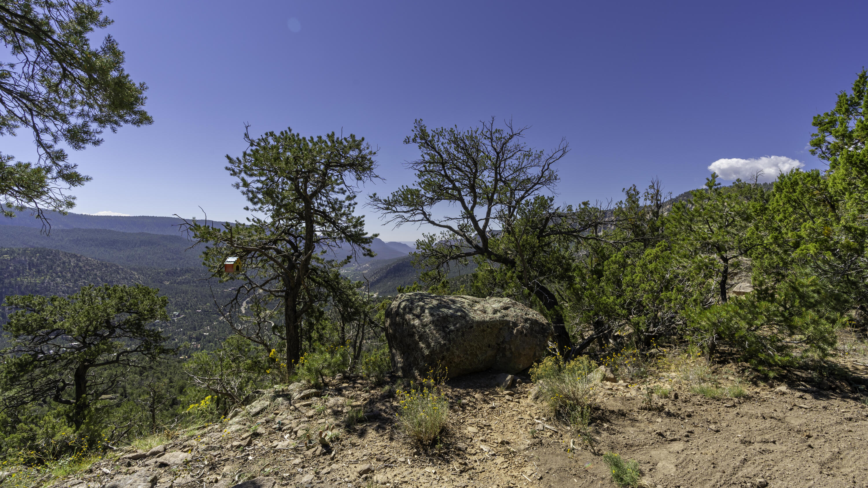 1700 Ponderosa Drive