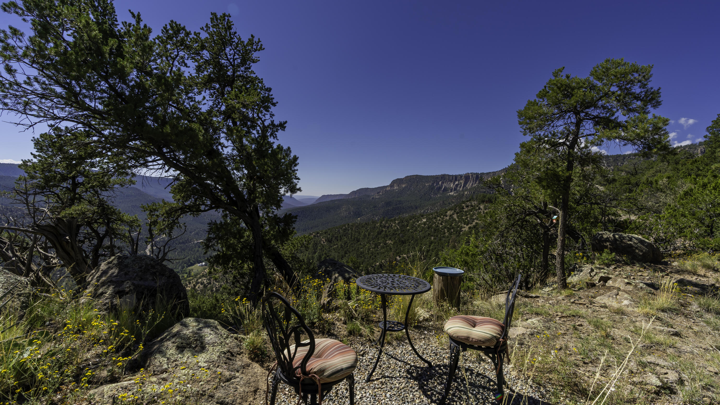 1700 Ponderosa Drive