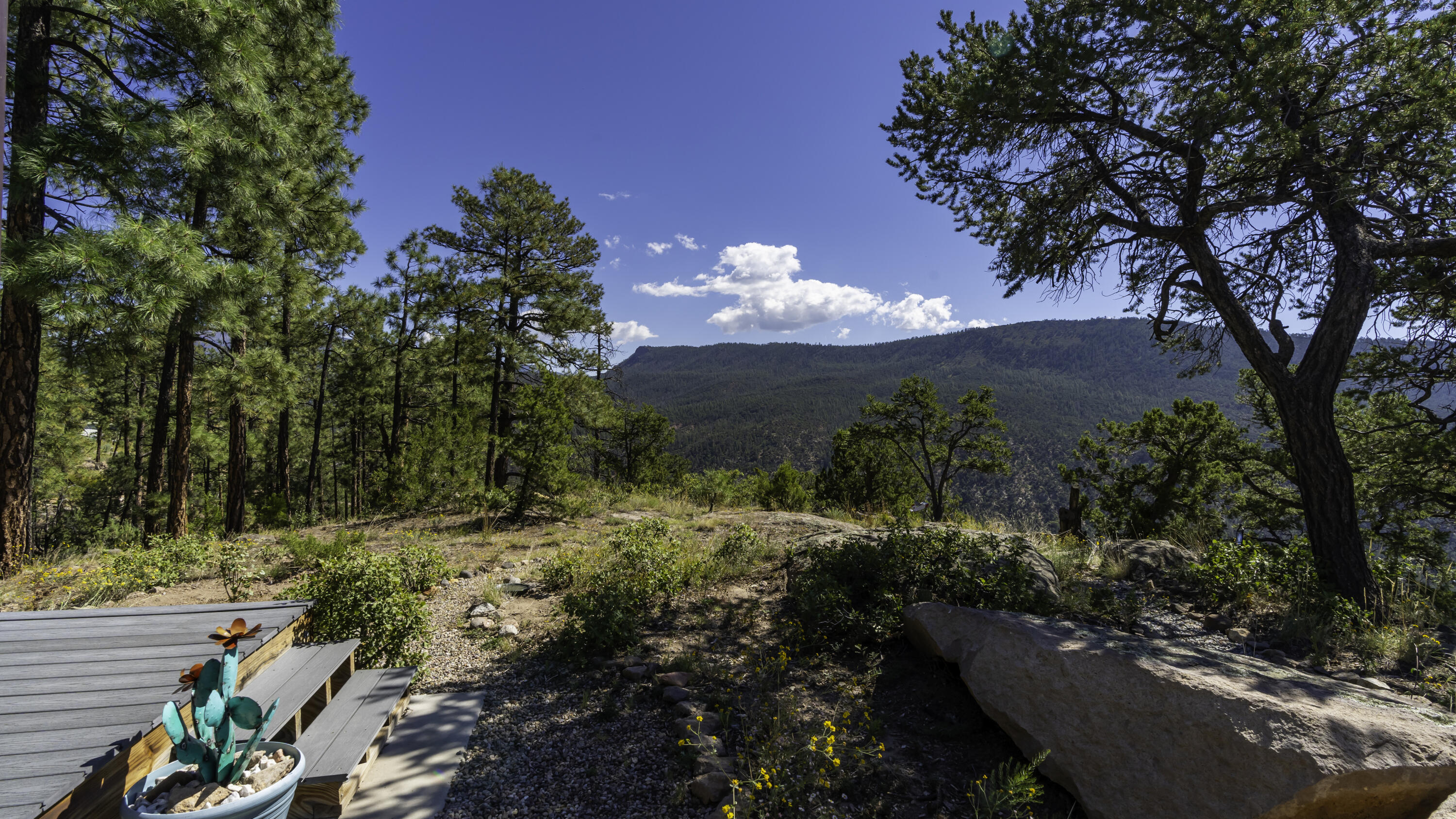 1700 Ponderosa Drive