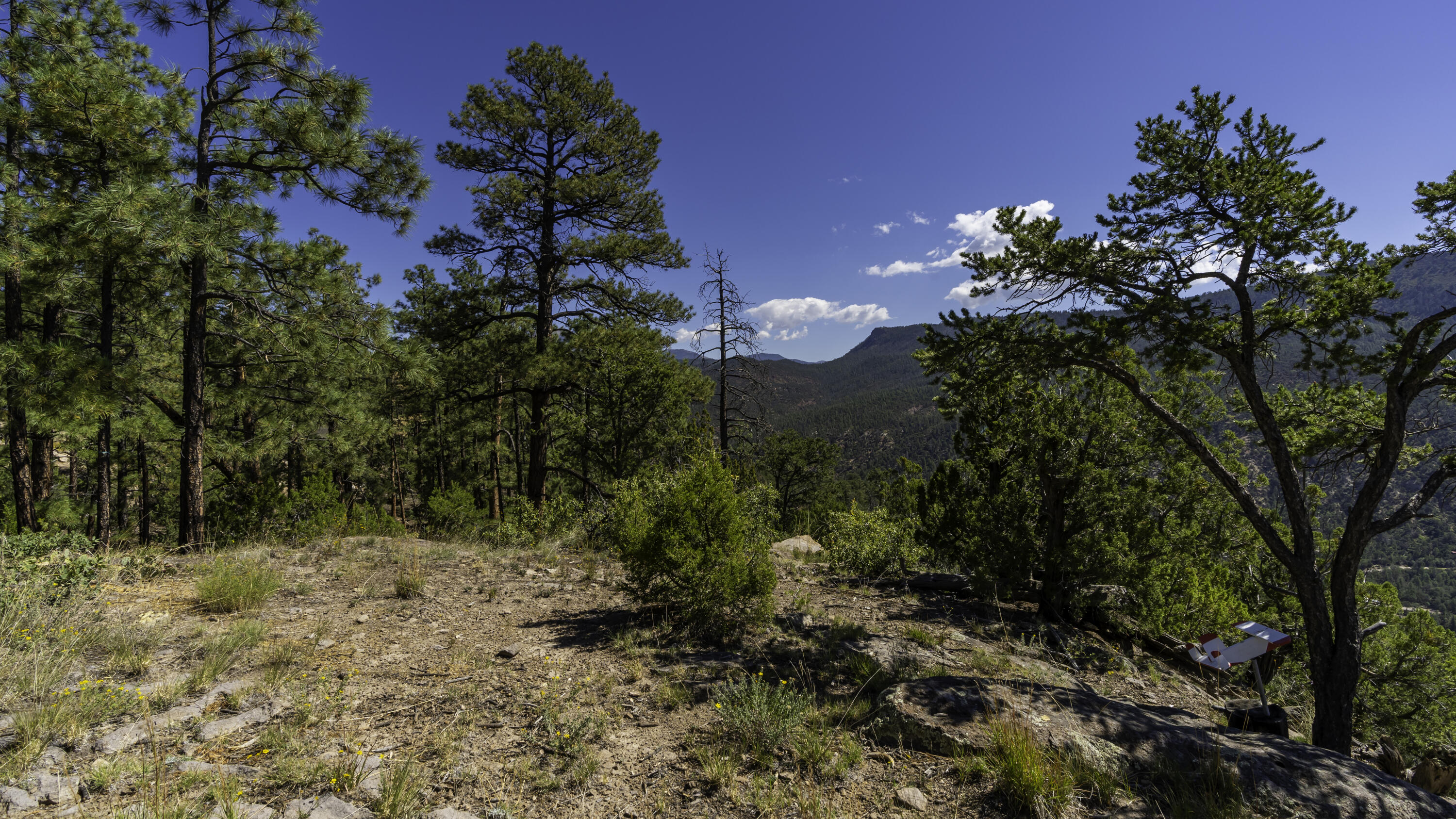 1700 Ponderosa Drive