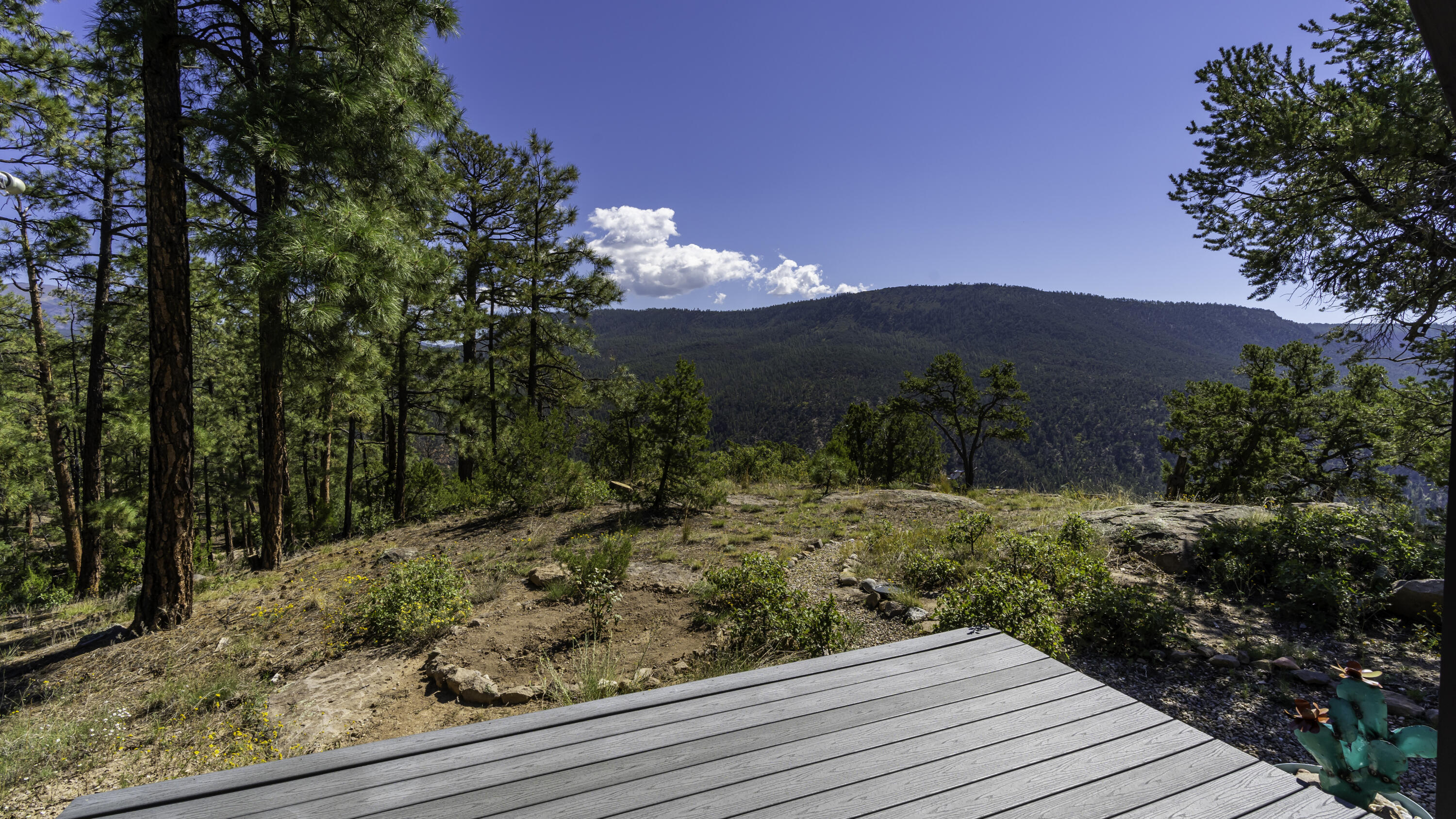 1700 Ponderosa Drive