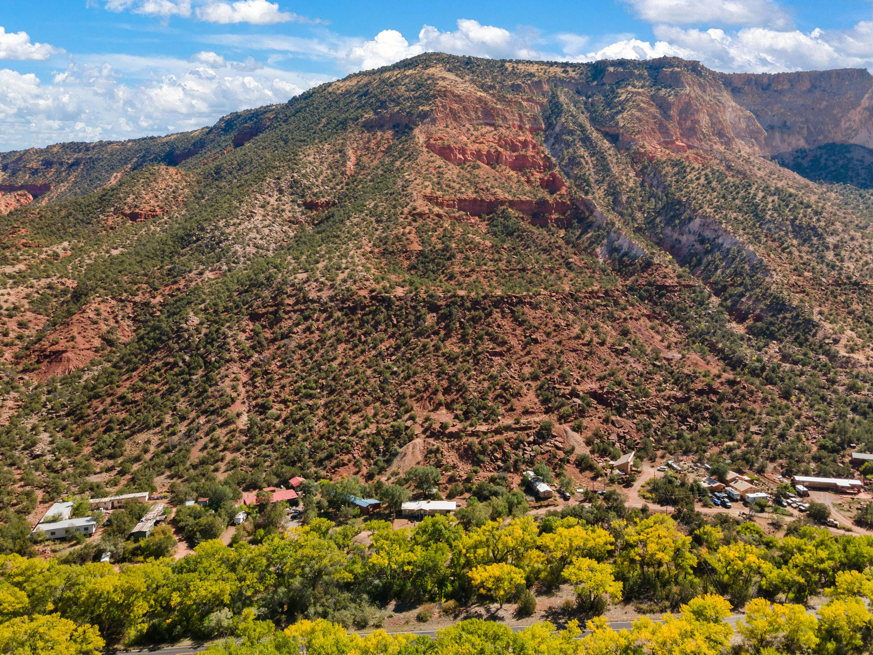 130 Stubborn Pine Road