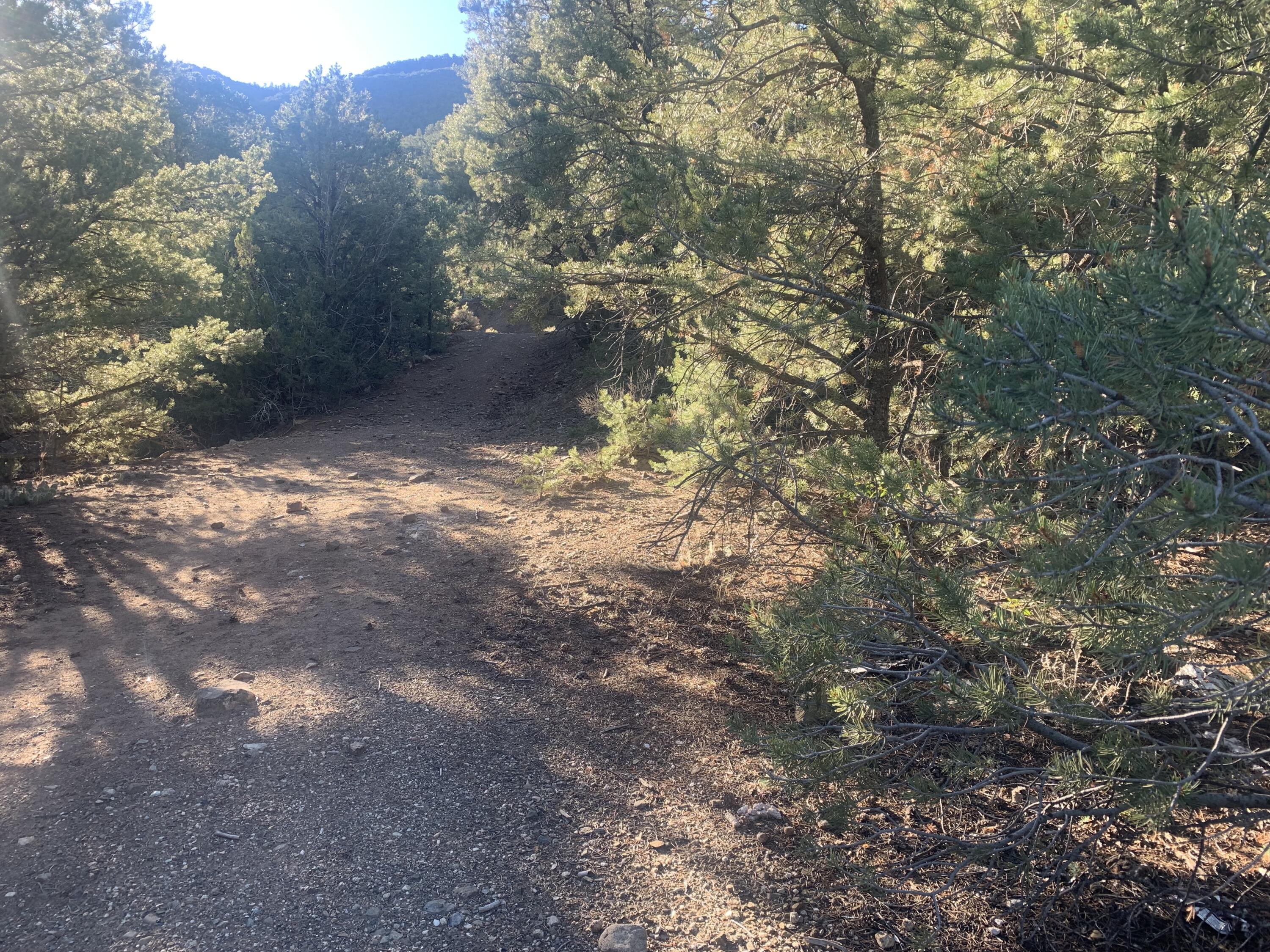 0 Paseo Del Canon East