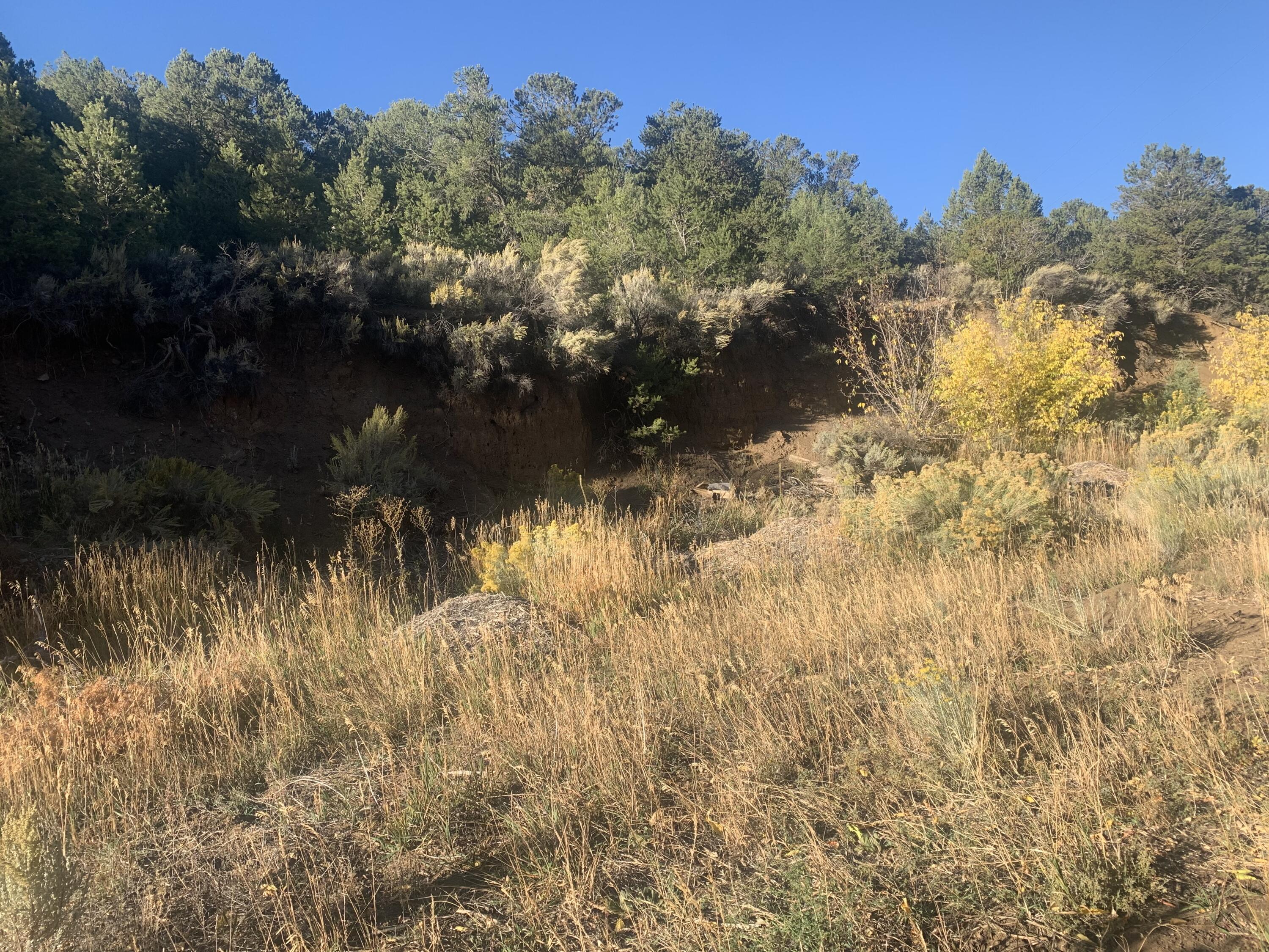 0 Paseo Del Canon East