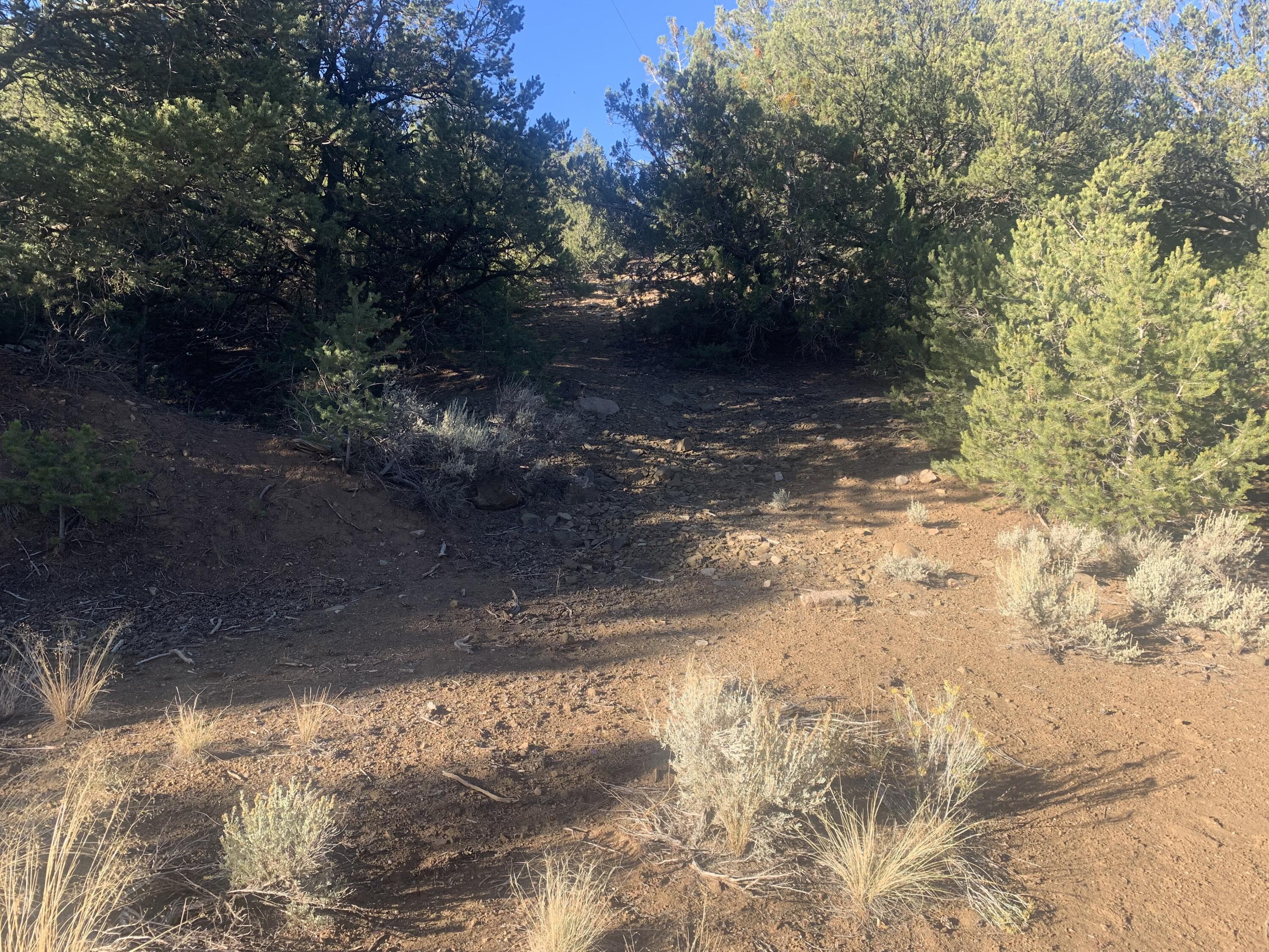 0 Paseo Del Canon East