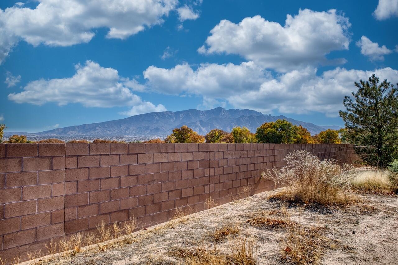 863 Golden Yarrow Trail