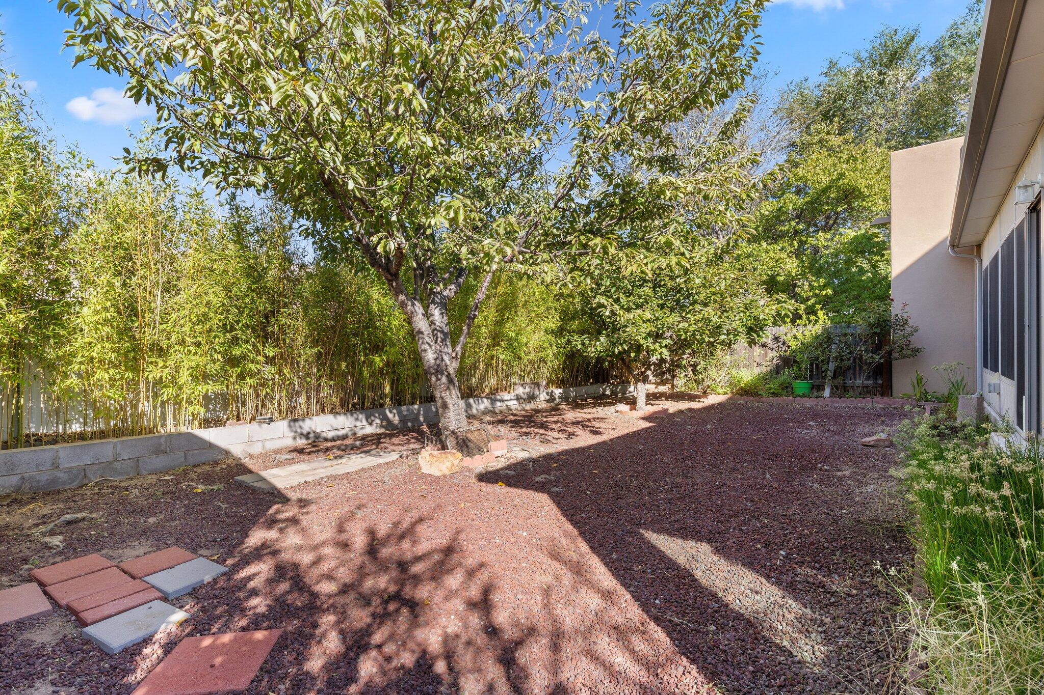 205 Glenridge Park Lane NE