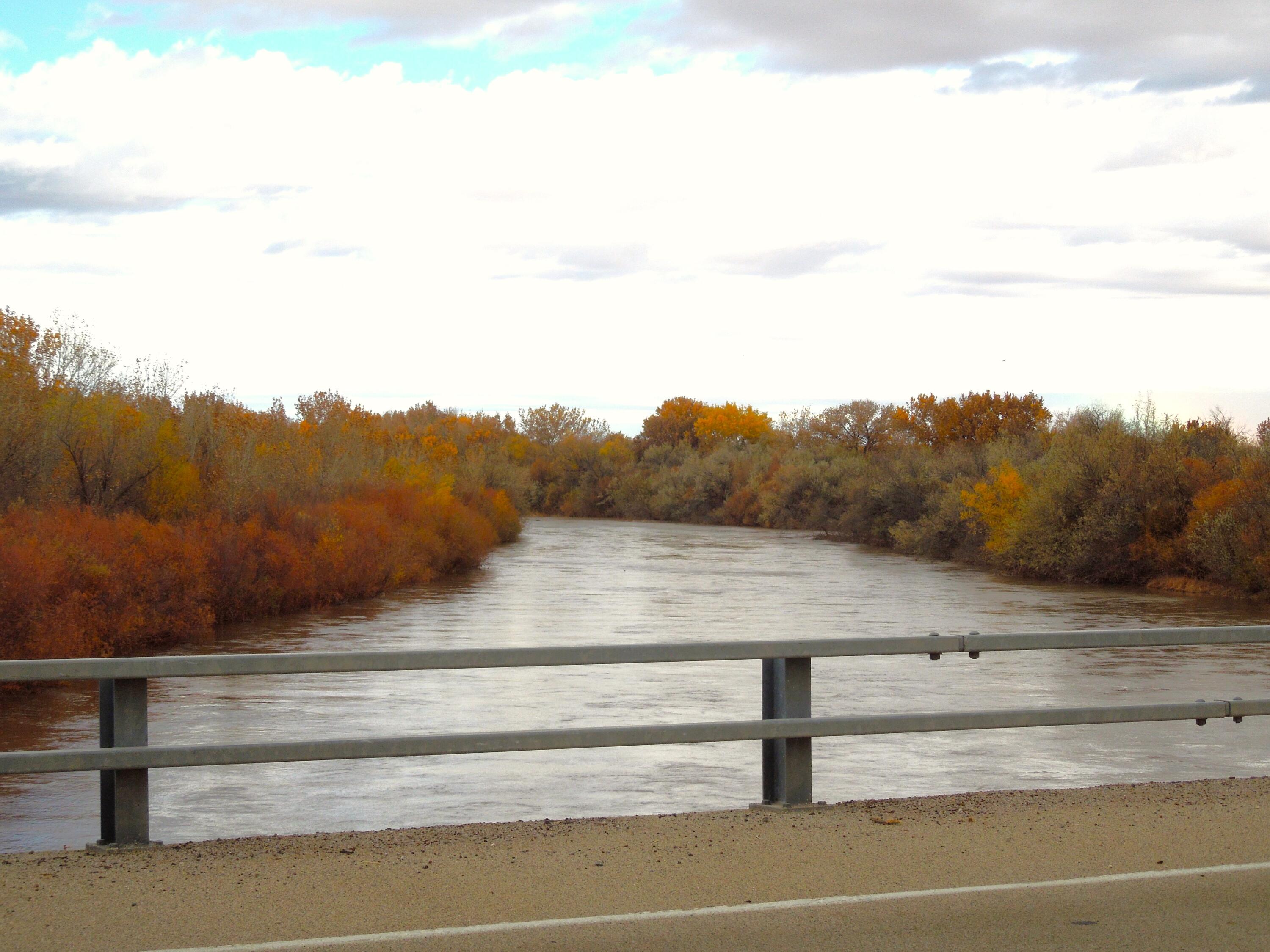 194 Gardenia Avenue Avenue