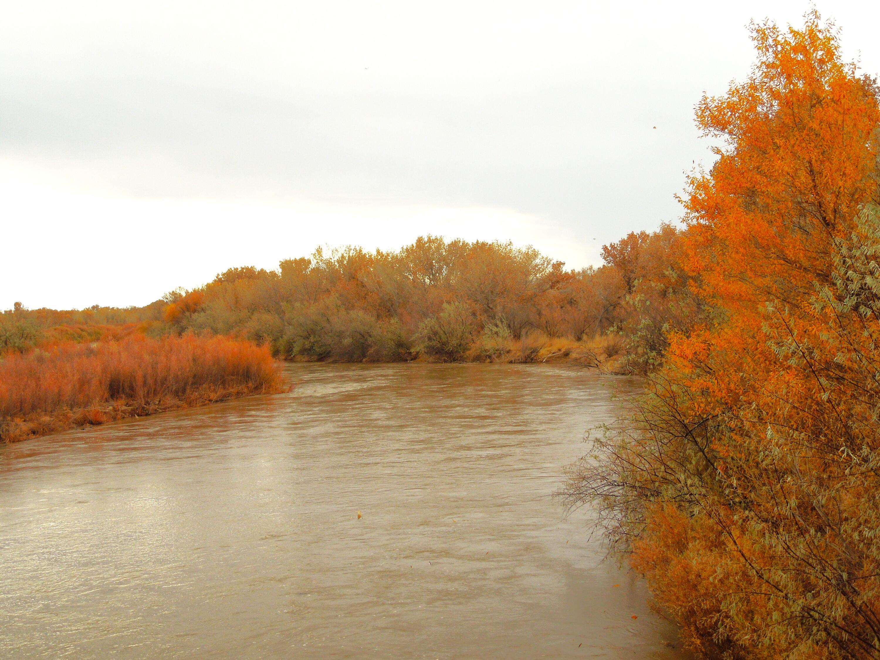 194 Gardenia Avenue Avenue