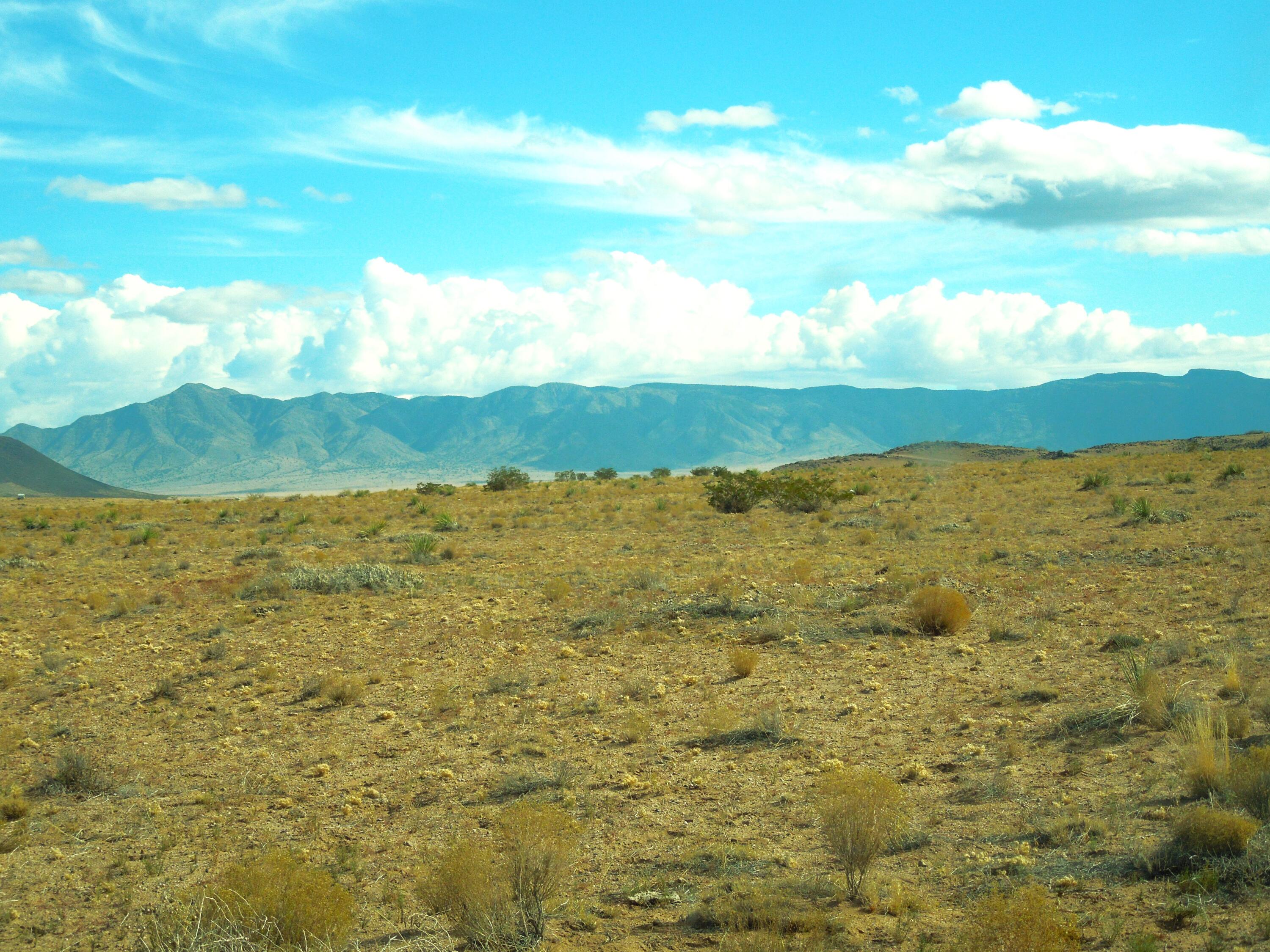 194 Gardenia Avenue Avenue