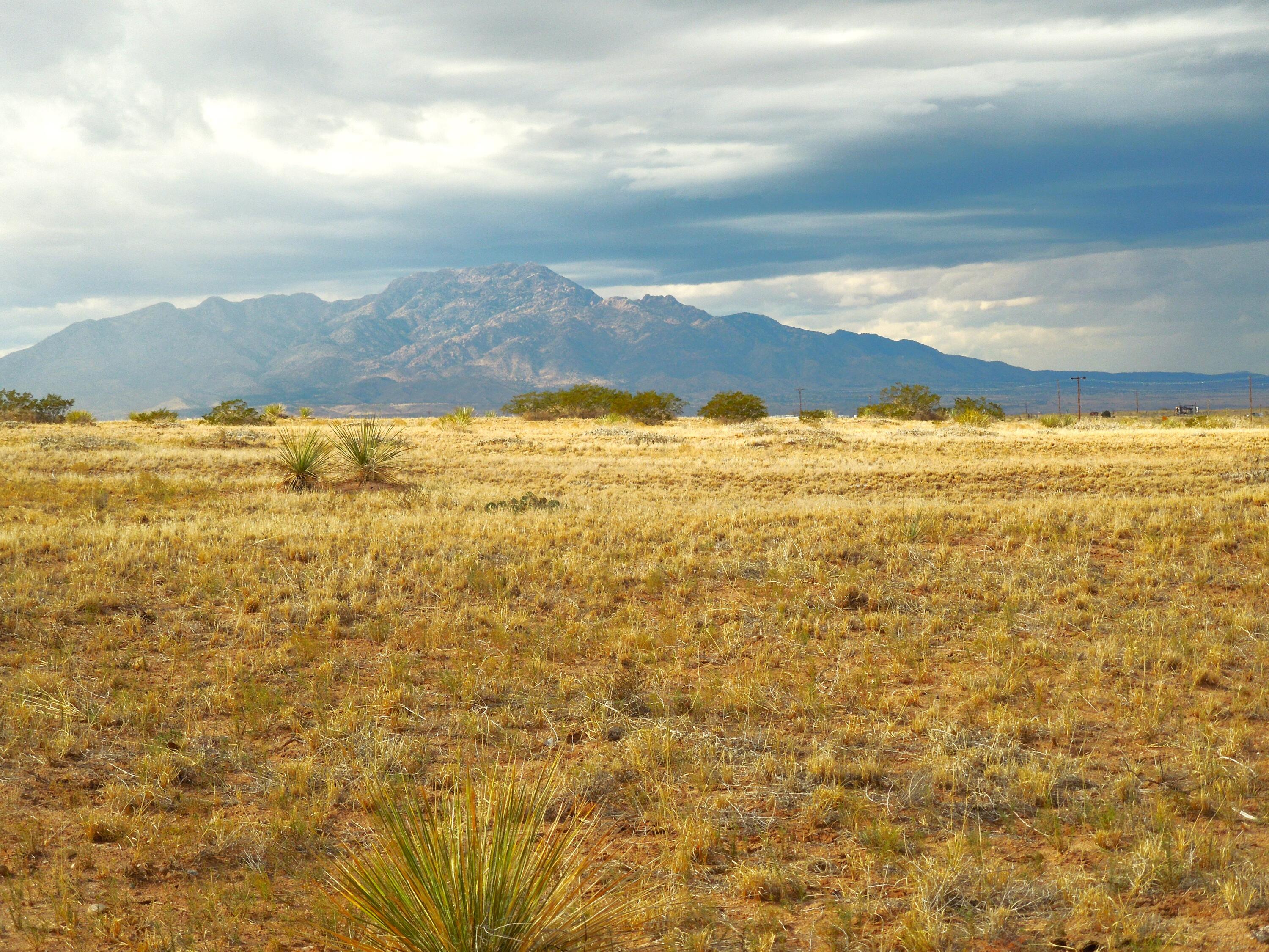 194 Gardenia Avenue Avenue