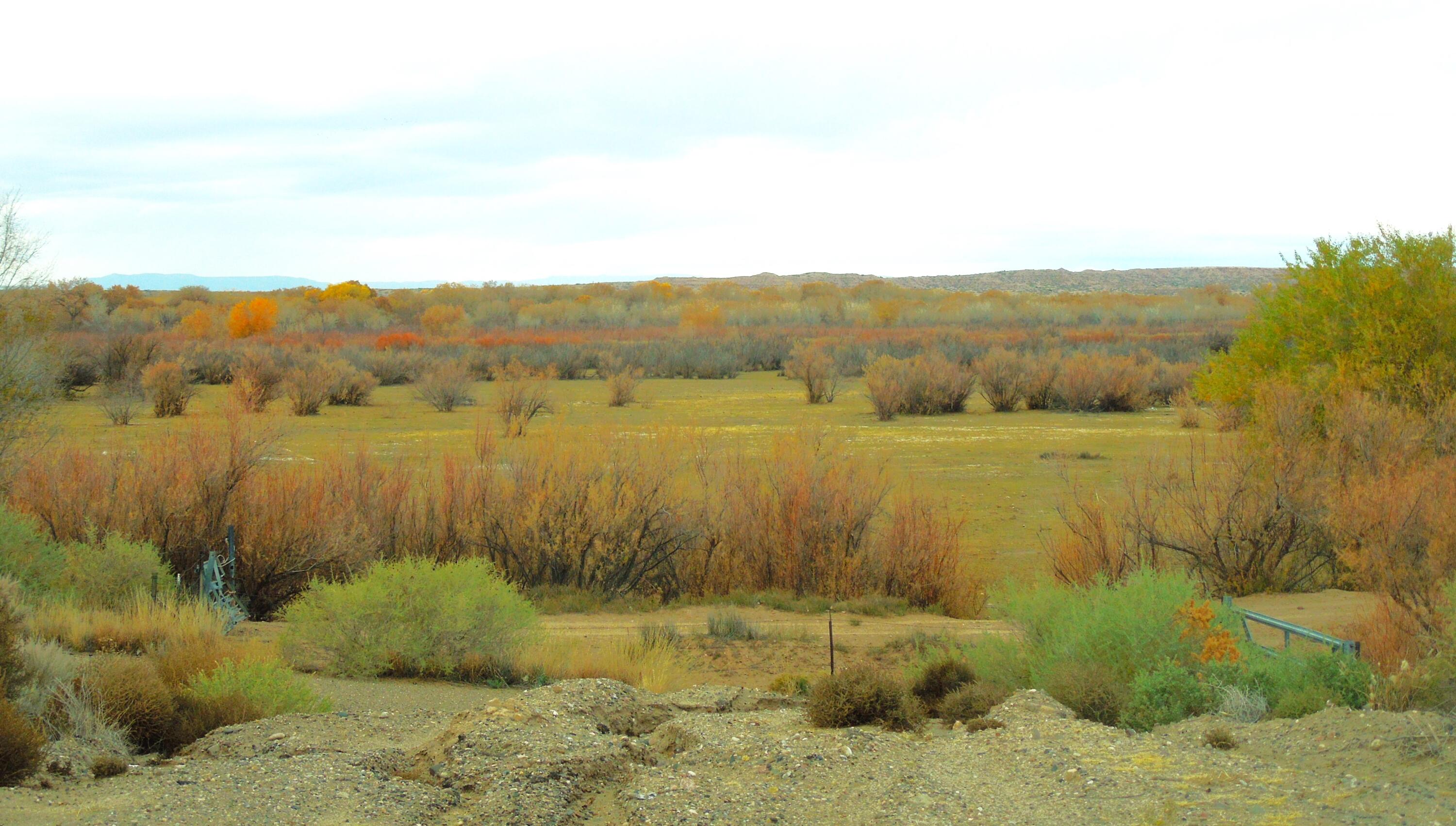 194 Gardenia Avenue Avenue