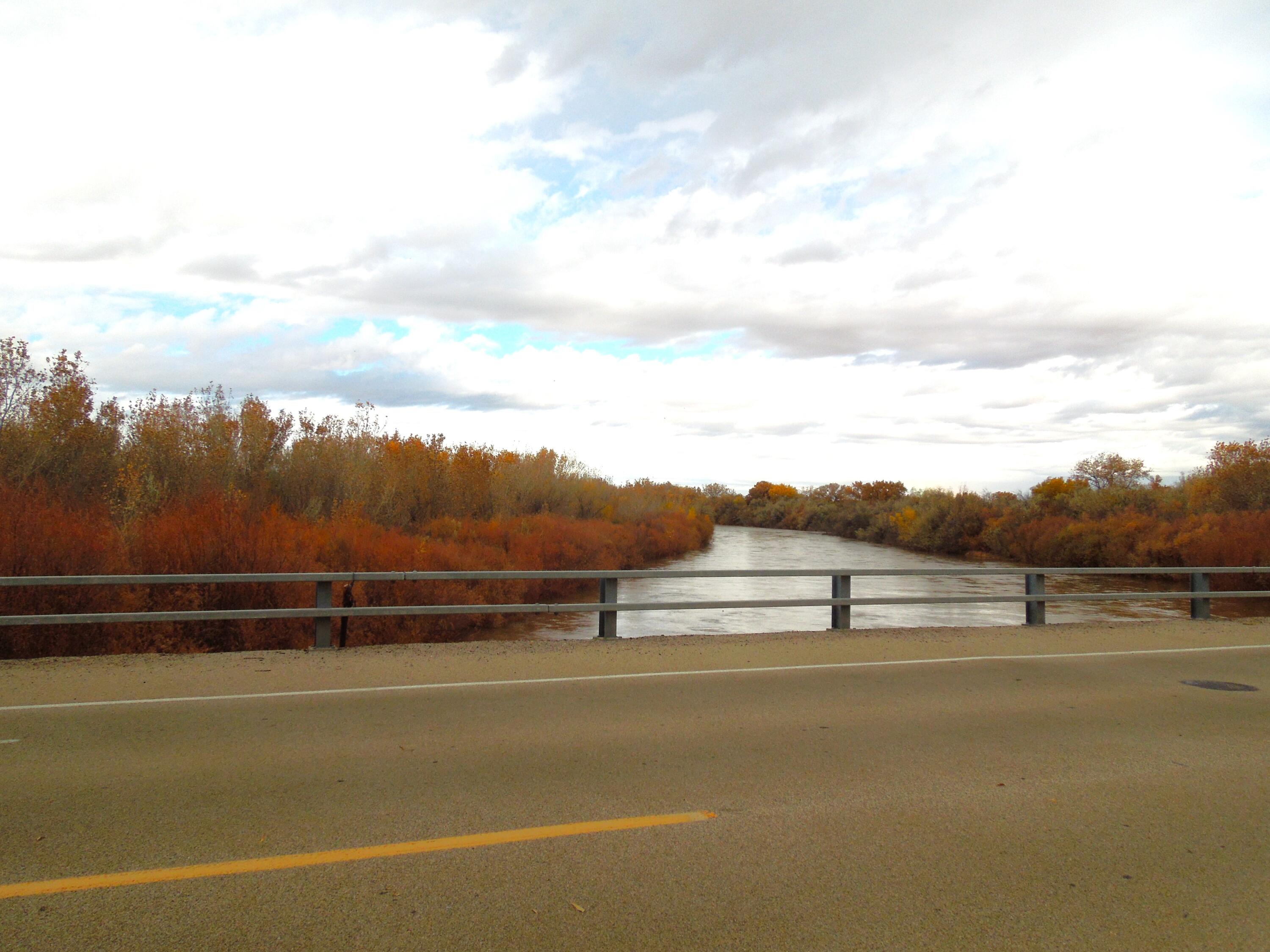 194 Gardenia Avenue Avenue